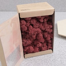 스칸디아모스 이끼 버건디 150g, 1개