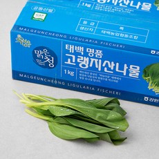 태백농협 GAP 인증 고랭지 명이나물, 1kg, 1박스