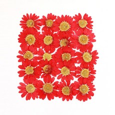 쪽염색재료