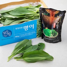 태백농협 명이나물 700g + 절임용 소스 600ml 증정, 1세트