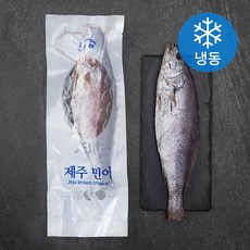 한올레 제주 통민어 특대 (냉동), 800g, 1팩