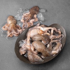 살맛나요 산소포장 낙지 7~11미 (냉장), 1kg, 1팩
