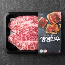 생생한우 1등급 부채살 스테이크용 (냉장), 300g, 1개