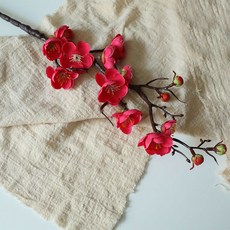 매화 조화 2p, 로즈레드