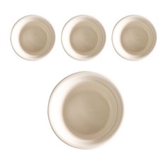 시라쿠스가드니아