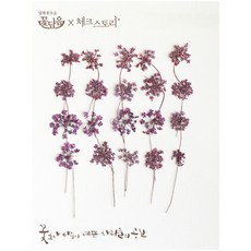 남원공방줄기꽃