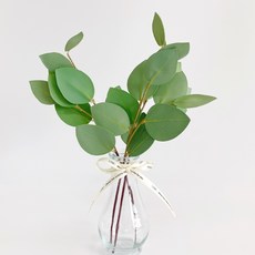 삼각잎 유칼립투스 조화 3p + 투명 유리 화병 + 리본테이프 세트, 랜덤발송(리본테이프)