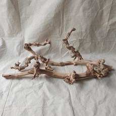 딥퍼랑스고스트오우드