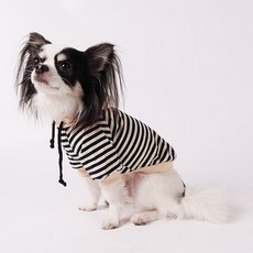 DING DONG PET 寵物條紋連帽T恤, 深藍色