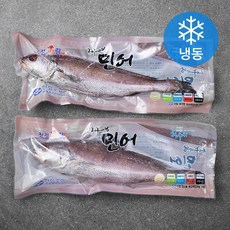 한수위 제주바당 민어 2미 (냉동), 600g, 1개