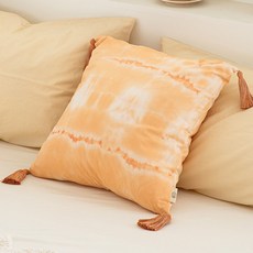 에스닉쿠션커버