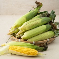 송이애 초당 옥수수 10입, 1개