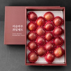 당도선별 사과 선물세트 5kg(17~18입), 1세트