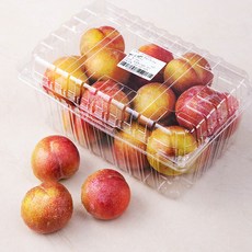 바디핌트위스트내돈내산