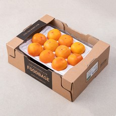 푸드베이스 청도반시 홍시, 1.2kg(8~10입), 1박스
