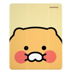 아이패드프로4세대케이스