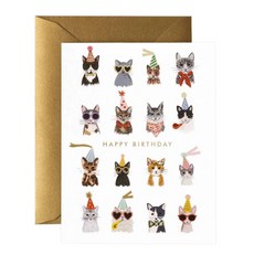 라이플 페이퍼 COOL CATS BIRTHDAY 카드, 혼합색상, 1개