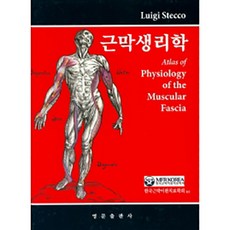 근막생리학, 영문출판사, Luigi Stecco