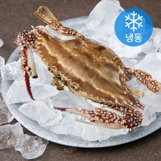 어부네생선가게 국산 통암꽃게 (냉동), 400g, 1개