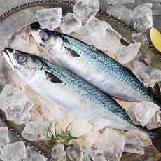 비비수산 산지직송 국내산 생물 고등어 2~3미, 1kg, 1개