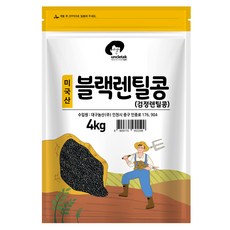 엉클탁 미국산 블랙렌틸콩 검정렌틸콩, 4kg, 1개