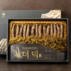 몸애조화 더덕 기획 선물세트, 500g, 1개