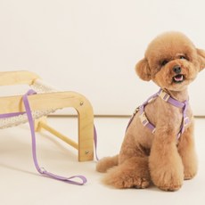 찰리스백야드리드줄