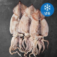 아라보감 국산 개별포장 탱탱한 손질 오징어 3~5미 (냉동), 1kg, 1개