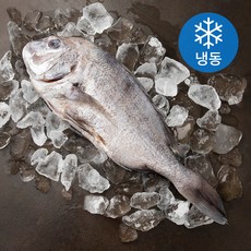 아라보감 맛 좋기로 소문난 남해 미조 손질 참돔 탕용 / 구이용 (냉동), 600~800g, 1개