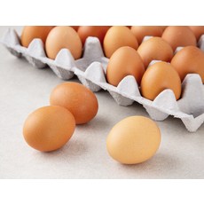 자연애찬 동물복지 무항생제 유정란, 30구, 1개, 1560g