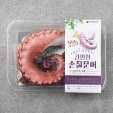 대흥물산 간편한 손질문어 (냉장), 250g, 1개