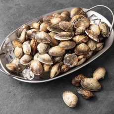 다복 청정바다를 담은 진도산 바지락, 1kg, 1봉