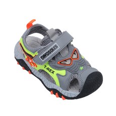 다이노솔즈티렉스삭스