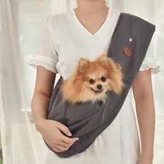 루이독슬링백