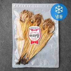 울릉도학포다이빙