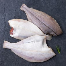 해선생 포항시 인증 산지직송 손질 생물 가자미 3미 (냉장), 600g, 1개