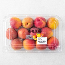 순천농협 플럼코트 M, 1kg, 1팩