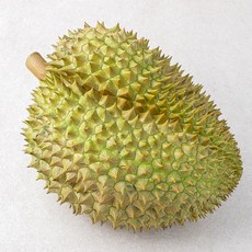 과일엔 태국산 생두리안 몬통, 1개, 3~3.5kg 내외