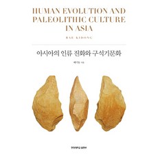 문화인류학의역사이론