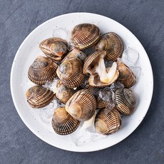 살맛나요 남해안 산지직송 생물 노랑새조개 (냉장), 1개, 800g