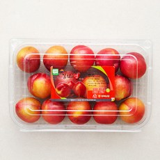 김천앤 GAP 인증 자두, 1개, 750g(S)