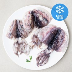어부네생선가게 국산 꼬마손질갑오징어 (냉동), 300g, 1개