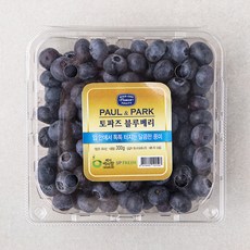 폴앤박 토파즈 블루베리, 300g, 1팩