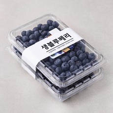 엠팍 미국산 블루베리, 310g, 2개