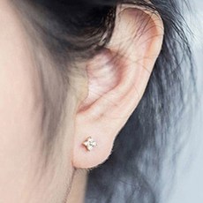 골든듀뤼미에르귀걸이