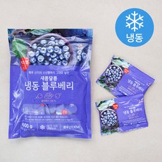 이츠웰 블루베리 10개입 (냉동), 600g, 1개