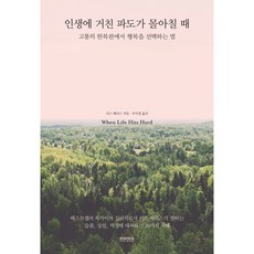 인생에 거친 파도가 몰아칠 때:고통의 한복판에서 행복을 선택하는 법, 러스 해리스, 티라미수 더북 러스 해리스, 티라미수 더북