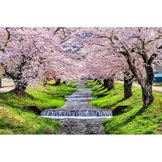 피포페인팅 만개한벚꽃풍경 그림 DIY 40 x 50 cm pipo-2054, 혼합색상