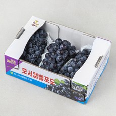 상주포도