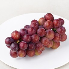 올바른과일 올과 상주 레드 샤인머스켓, 500g, 1개